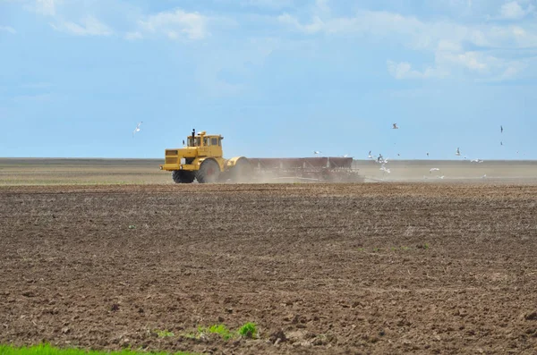 Trator Trabalha Campo Durante Semeadura — Fotografia de Stock