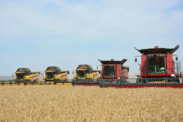 Neue Moderne Erntemaschinen Auf Dem Feld Für Die Weizenernte — Stockfoto