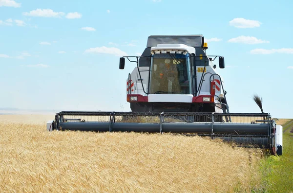 Erntemaschine Auf Einem Feld Bei Der Weizenernte — Stockfoto