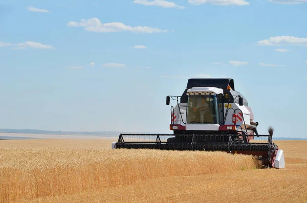 Erntemaschine Auf Einem Feld Bei Der Weizenernte — Stockfoto