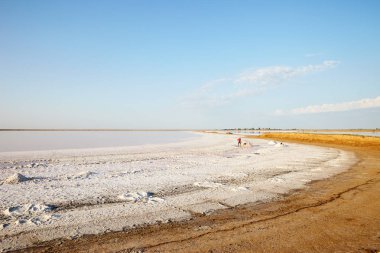 Gün batımında güzel tuzlu plaj
