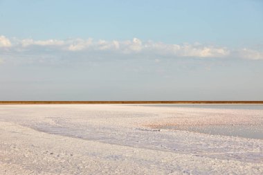 tuzlu plaj panoraması