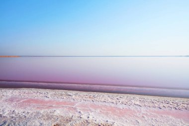 mor fütüristik plaj