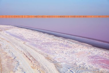 Güzel mor tuzlu plaj