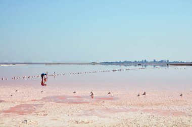 Salt Lake İşçi İşçiliği