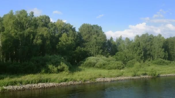 Caméra se déplaçant le long d'une rive avec vue sur les bouleaux et les buissons .