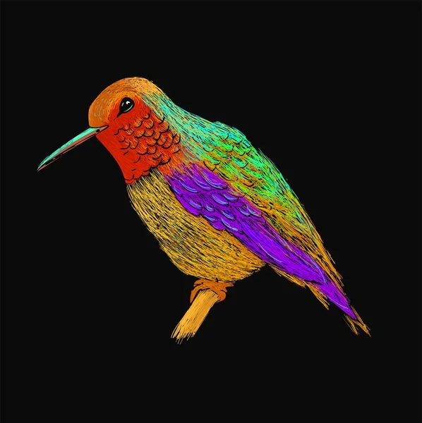 Hummingbird Con Piumaggio Colorato Lucido Stile Pop Art Moderno Uccello — Vettoriale Stock