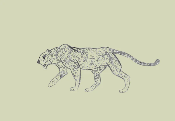 Cheetah Che Aggira Disegno Linea Nera Isolato Sfondo Verde Chiaro — Foto Stock