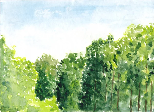 Beautiful Summer Forest Trees Green Scenic Landscape View Watercolor Painting — Stock Photo, Image