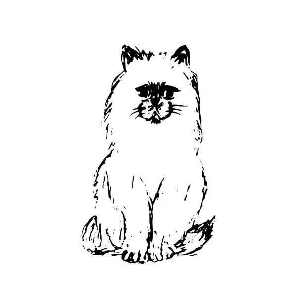 猫の手描きのスケッチ 黒の線図は 白い背景で隔離 ふわふわの小さなペット かわいい毛皮のような座っている子猫 ベクトルの動物イラスト — ストックベクタ