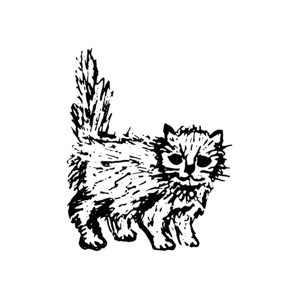 Handgezeichnete Skizze Eines Katzenkätzchens Schwarze Linienzeichnung Isoliert Auf Weißem Hintergrund — Stockvektor