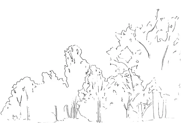 Croquis Arbres Buissons Dessin Linéaire Paysage Illustration Dessinée Main Forêt — Image vectorielle