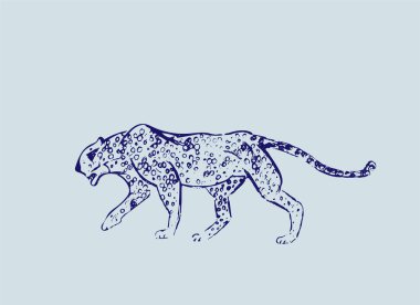 Çita. Elle çizilmiş mürekkep kroki. Yatay çizim. Vektör oyma. Predator çizgi roman. Hat illüstrasyon. Mavi renkler. Safari kavramı.