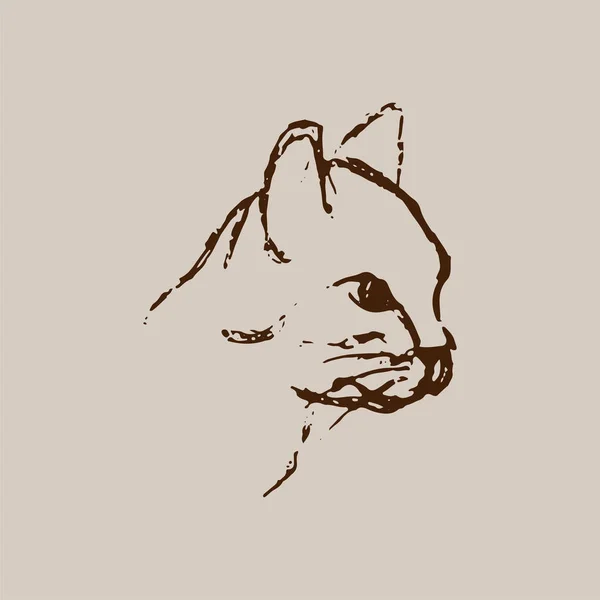手画的猫头素描 在米色背景下被隔离的 Pet 的褐色线图 矢量动物插画 — 图库矢量图片