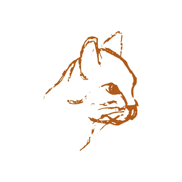 Desenho Feito Mão Cabeça Gato Desenho Linha Laranja Animal Estimação —  Vetores de Stock