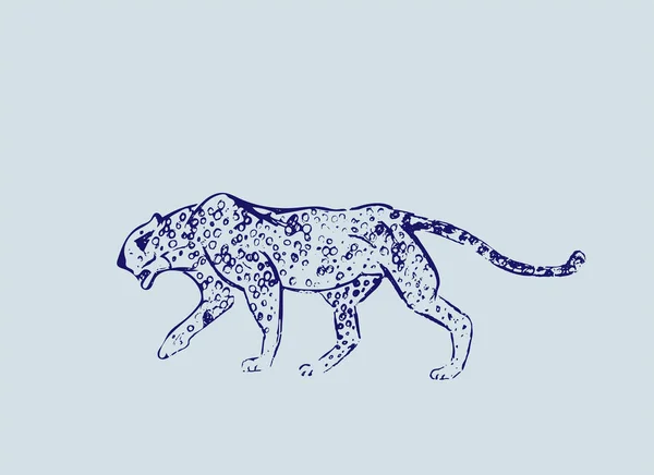 Cheetah Croquis Encre Dessiné Main Plan Horizontal Gravure Vectorielle Predator — Image vectorielle
