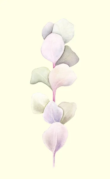 Eucalyptus Brunch Leaves Isolated Light Yellow Background Watercolor Hand Painted — Stock Photo, Image