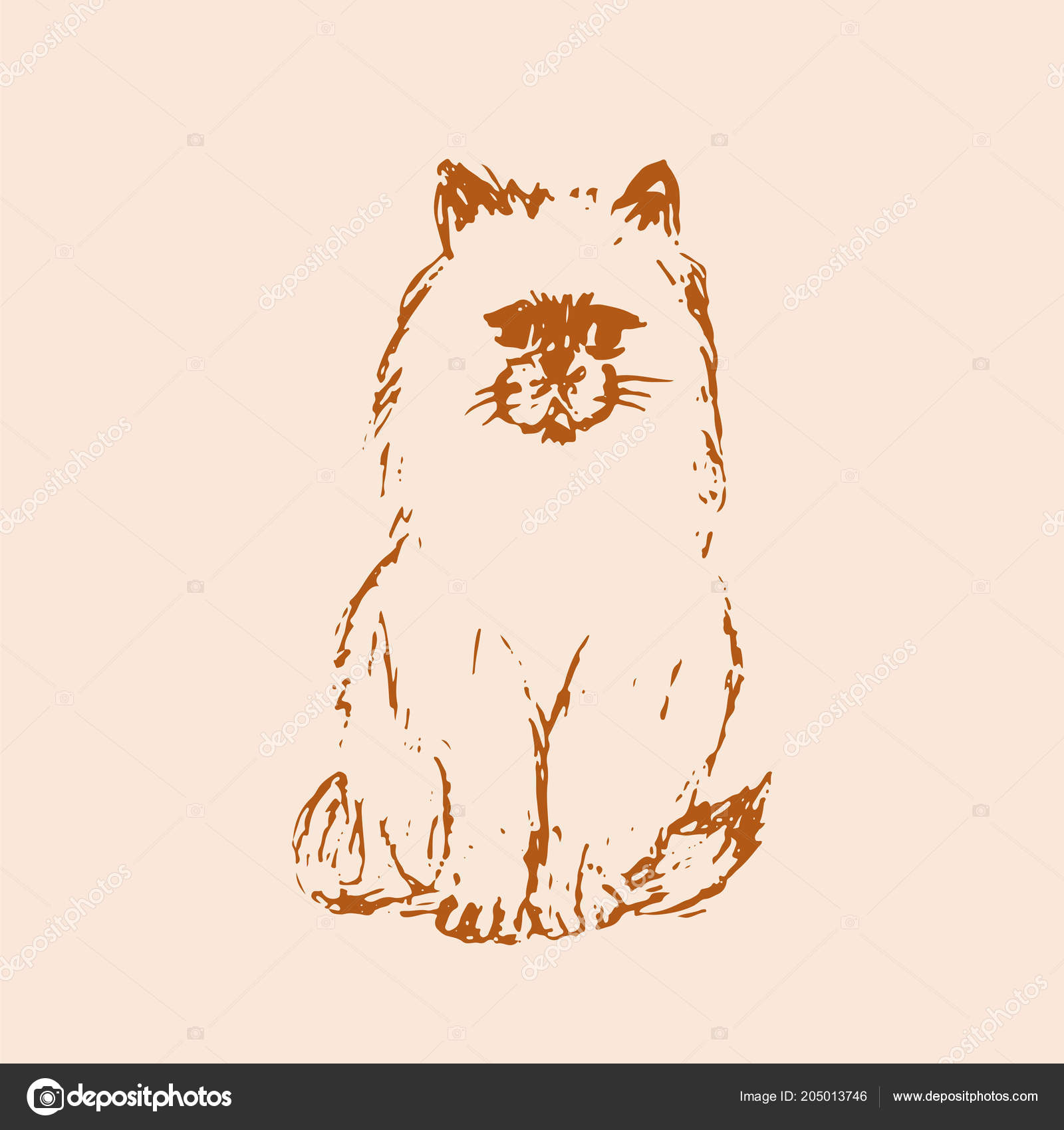 Chaton Dessin De Chat En Couleur Get Images