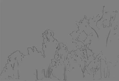 Ağaçlar ve çalılar kroki. Yatay doğrusal çizim. Elle çizilmiş şekil. Beyaz arka plan üzerinde orman. Siyah çizgili stil tema. Vahşi doğa.