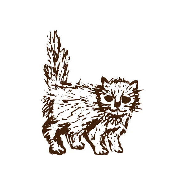 Ручной Рисунок Кота Котенка Коричневая Линия Белом Фоне Милый Маленький — стоковый вектор