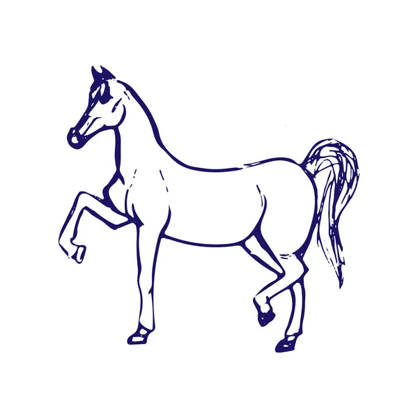 Dibujo Dibujado Mano Caballo Dibujo Tinta Azul Aislado Sobre Fondo — Archivo Imágenes Vectoriales