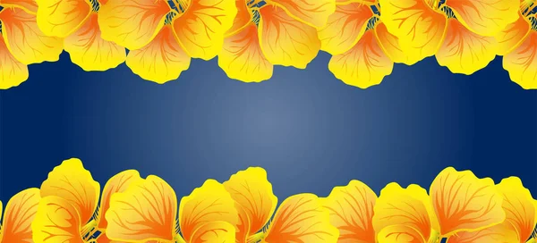 Nasturtium Naadloze Grens Gele Bloemen Mooie Horizontale Banner Donker Blauwe — Stockvector