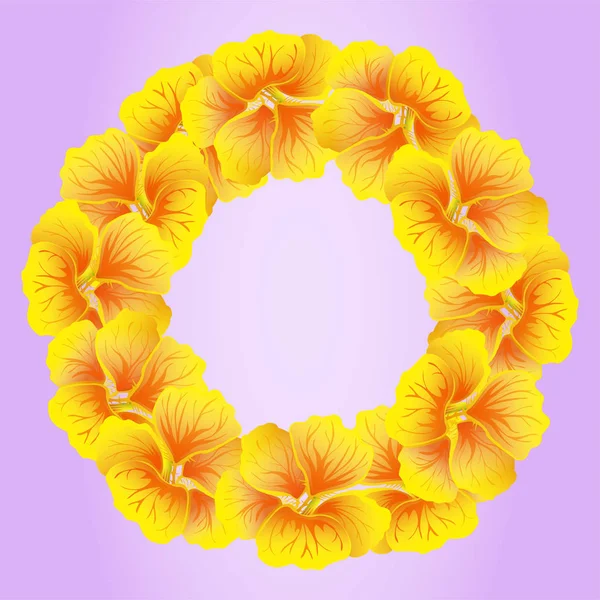 Heldere Nasturtium Krans Wild Gele Bloemen Prachtige Bloemen Cirkel Geïsoleerd — Stockvector