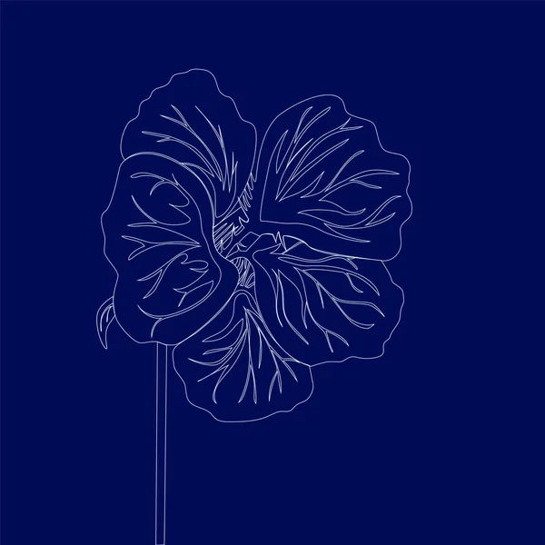 Kapuzinerkresse Wildblume Linienzeichnung Auf Dunkelblauem Hintergrund Vektor Florale Illustration — Stockvektor