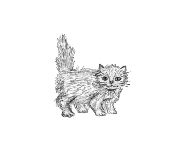 Handgezeichnete Illustration Der Katze Isoliert Auf Weißem Hintergrund Kleine Flauschige — Stockfoto