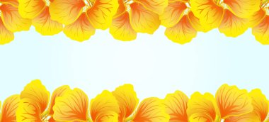Parlak Nasturtium sorunsuz sınır. Sarı çiçekler. Güzel yatay afiş. Mavi arka plan. -Oyun kağıdı, davet, poster, tasarım tebrik. Vektör çizim. Egzotik şablonu. Dekoratif çerçeve çiçek
