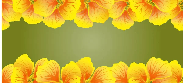 Fronteira Perfeita Nastúrcio Flores Amarelas Bela Bandeira Horizontal Fundo Verde —  Vetores de Stock