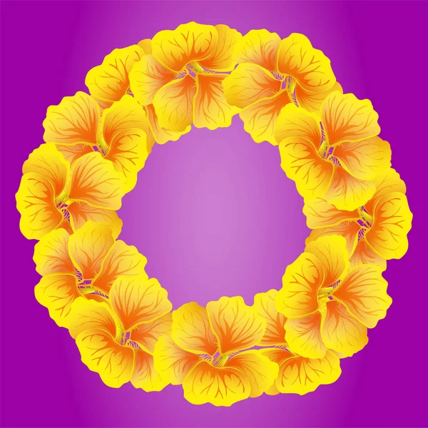 Nasturtium Wreath Wild Yellow Flowers Beautiful Floral Circle Isolated Bright — Stock Vector