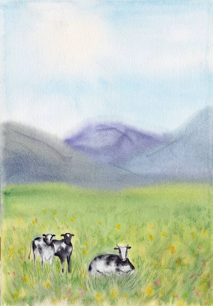 Black and white cows in a grassy meadow on a bright and sunny day in The Netherlands. Rural Landscape with Pasturing Cows. Dairy animals at summer green field. Watercolor illustration. — Stock Photo, Image