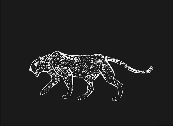 Cheetah Croquis Encre Dessiné Main Plan Horizontal Gravure Vectorielle Predator — Image vectorielle