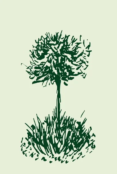 Esbozo del árbol. Ilustración Vintage verde, estilo grabado. Tinta dibujada a mano. Dibujo vectorial. Para el paisaje, parque, diseño al aire libre . — Vector de stock