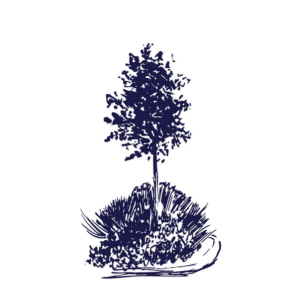 Árbol vector sketch.Vintage ilustración, estilo grabado. Tinta dibujada a mano. Dibujo Línea Azul Aislado sobre fondo blanco. Para el paisaje, parque, diseño al aire libre . — Vector de stock