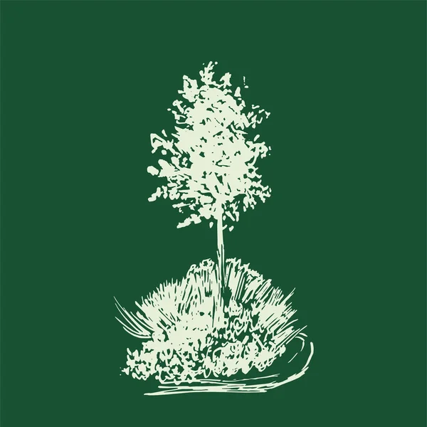 Schizzo vettoriale dell'albero.Illustrazione d'epoca, stile inciso. Inchiostro dipinto a mano. Disegno a linee isolato su sfondo verde. Per paesaggio, parco, outdoor design . — Vettoriale Stock