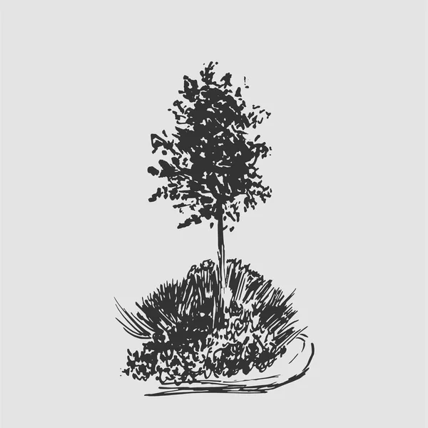 Tree vector sketch.Vintage illustration, engraved style. Hand drawn ink. Line drawing Isolated on light background. For landscape, park, outdoors design. Gray colors. — 图库矢量图片