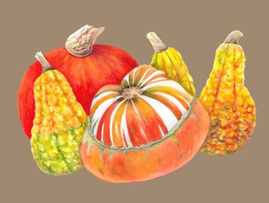 Turuncu ve sarı kabaklar bej arka planda izole. Sonbahar sebze suluboya illustrationu. Natürmort resim. Şükran günü veya Cadılar Bayramı kartı, poster, dekorasyon, yemek tarifi, menü, baskı için.