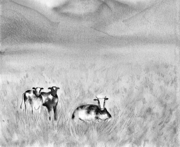 乳品糕点荷斯坦弗里斯西安（黑色和白色）奶牛在草地。夏季乡村场景。阿尔卑斯背景。水彩插图。荷兰的风景。灰色。格里赛尔技术 — 图库照片