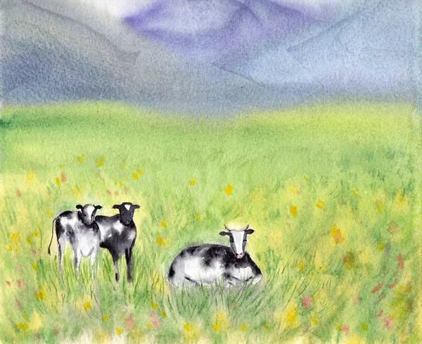 Dairy Pasturing Holstein Friesian (black and white) cows in a grassy field. Summer Rural scene. Alpine background. Watercolor illustration. Bright and sunny landscape in The Netherlands. — Stock Photo, Image