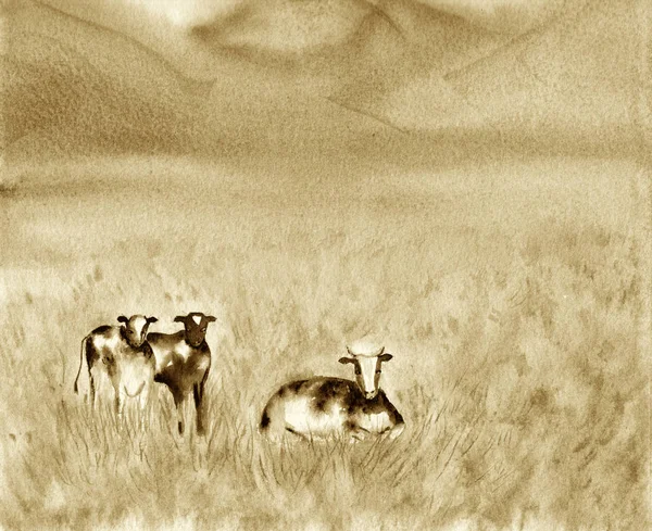 Dairy Pasturing Holstein Friesian (black and white) cows in a grassy field. Summer Rural scene. Alpine background. Watercolor illustration. Landscape in The Netherlands. Beige and brown sepia colors. — Stock Photo, Image