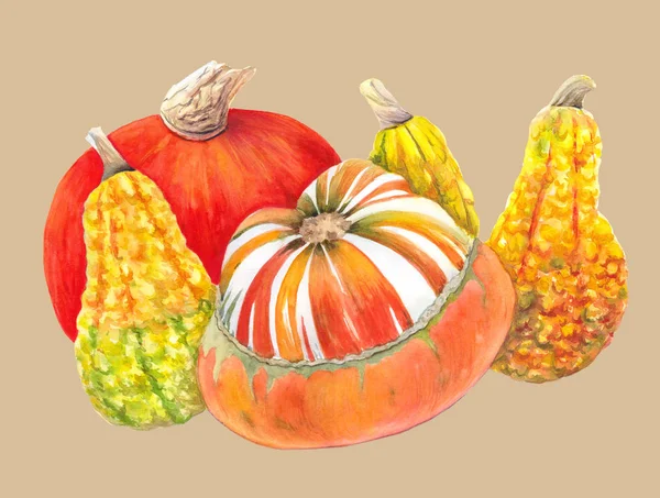 Oranžové a žluté dýně izolované na béžové pozadí. Podzimní zelenina akvarel ilustraceu. Pořád maluje život. Na přání k díkůvzdání nebo Halloweenu, plakát, dekoraci, recept, menu, tisk. — Stock fotografie
