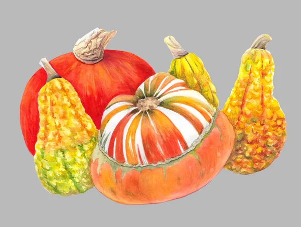 Оранжевый и желтый тыквы изолированы на сером фоне. Осенние овощи акварель illustrationu. Натюрморт. На День благодарения или Хэллоуин карты, плакат, украшение, рецепт, меню, печать . — стоковое фото