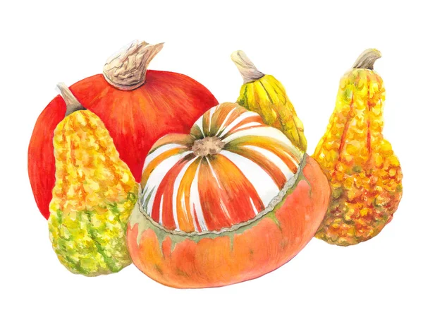 Orangefarbene und gelbe Kürbisse auf weißem Hintergrund. Herbstgemüse Aquarell Illustration. Stilllebenmalerei. für Danksagung oder Halloween-Karte, Plakat, Dekoration, Rezept, Speisekarte, Druck. — Stockfoto