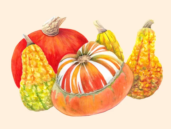 Calabazas anaranjadas y amarillas aisladas sobre fondo claro. Otoño verduras acuarela ilustración. Pintura de naturaleza muerta. Para la tarjeta de Acción de Gracias o Halloween, póster, decoración, receta, menú, impresión . — Foto de Stock