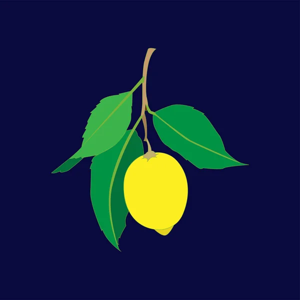 Лимонні плоди з листям ізольовані на темно-синьому фоні. Свіжий цитрусовий. Векторні плоскі ілюстрації . — стоковий вектор
