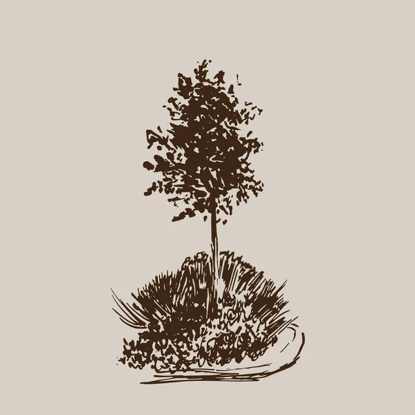 Σκίτσο διάνυσμα δέντρο. Vintage εικονογράφηση, χαραγμένο στυλ. Χέρι μελάνι. Γραμμικό σχέδιο απομονωμένη σε ανοιχτόχρωμο φόντο. Για το τοπίο, πάρκο, υπαίθρια σχεδιασμό. Μπεζ και καφέ αποχρώσεις. — Διανυσματικό Αρχείο