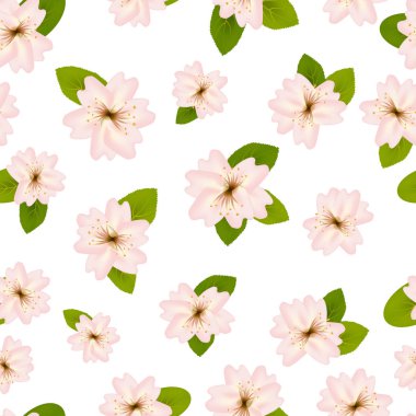 Bahar kiraz çiçekleri. Japon sakura ile dikişsiz desen. Beyaz arka planda pembe çiçekler. Romantik illüstrasyon.