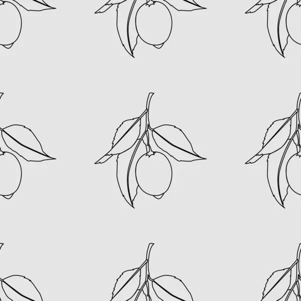 Modèle sans couture avec des citrons. Dessin de ligne isolé sur fond gris clair. Fruits frais avec des feuilles. Design d'été. Illustration vectorielle . — Image vectorielle